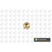 BGA Oil Sump Screw Plug PK2202
