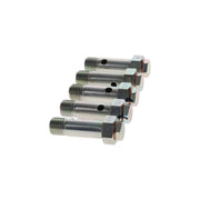 Bosch Fuel Injection Control Valve