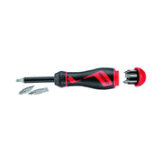 Teng Tools 1/4" Ratcheting Bits Driver Double End Bits Set Teng Tools - Dynamic Drive