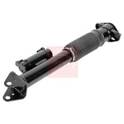 Apec Shock Absorber Damper Strut Rear Right ASA2022