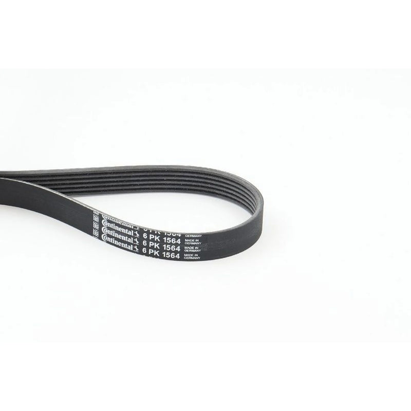 Continental CTAM Multi V-Ribbed Drive Belt fits Citroën Berlingo First 1996-2011