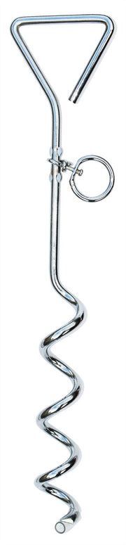 Quest Pet anchor with 4M lead Quest - Dynamic Drive