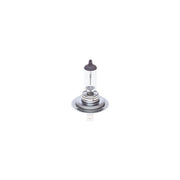 Bosch Eco H7 12V 55W PX26D 499-Eblb499 1 987 302 804