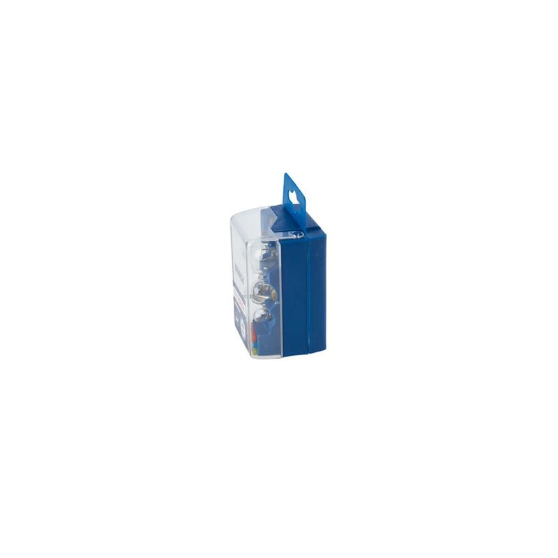 Bosch Car Bulb Assortment Set