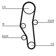 Continental CTAM Timing Belt Cambelt 110 Teeth fits BMW 3 1987-1998