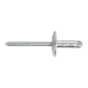 Sealey Clip Strip Deal - Aluminium Rivets RVSET Sealey - Dynamic Drive