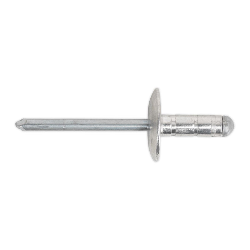 Sealey Clip Strip Deal - Aluminium Rivets RVSET Sealey - Dynamic Drive