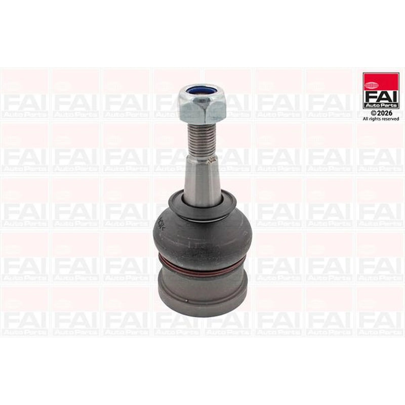 FAI 2 x Ball Joints