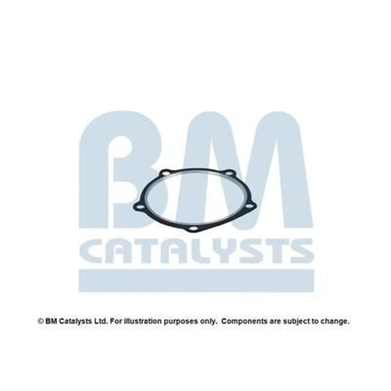BM Catalysts Fitting Kit FK91078A FK91078A