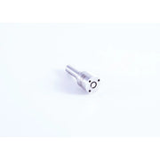 Bosch Fuel Injector Nozzle