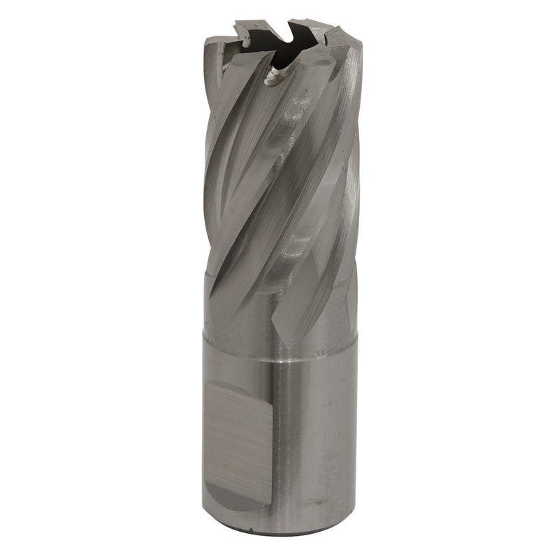 Sealey Rotabor Cutter HSS19mm Cut Depth 25mm RBHSS19S Sealey - Dynamic Drive