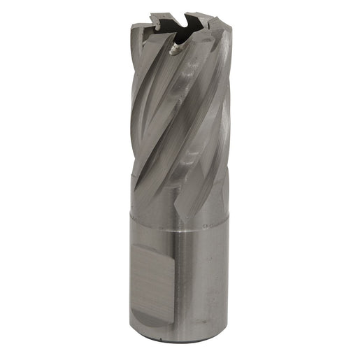 Sealey Rotabor Cutter HSS19mm Cut Depth 25mm RBHSS19S Sealey - Dynamic Drive