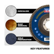 Sealey 115mm Zirconium Flap Discs 60Grit 22mm Bore - Pack of 10 FD1156010 Sealey - Dynamic Drive