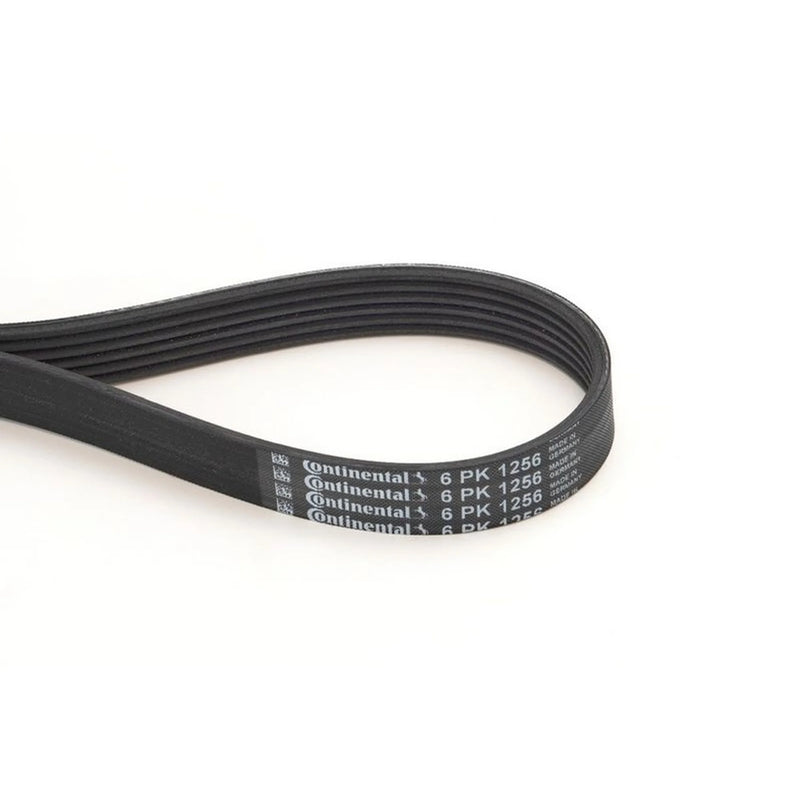 Continental CTAM Multi V-Ribbed Drive Belt fits Ferrari F355 Berlinetta