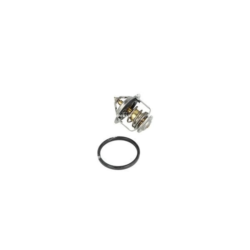 NRF Thermostat,Coolant 725110