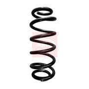 Apec Rear Suspension Coil Spring ACS1784