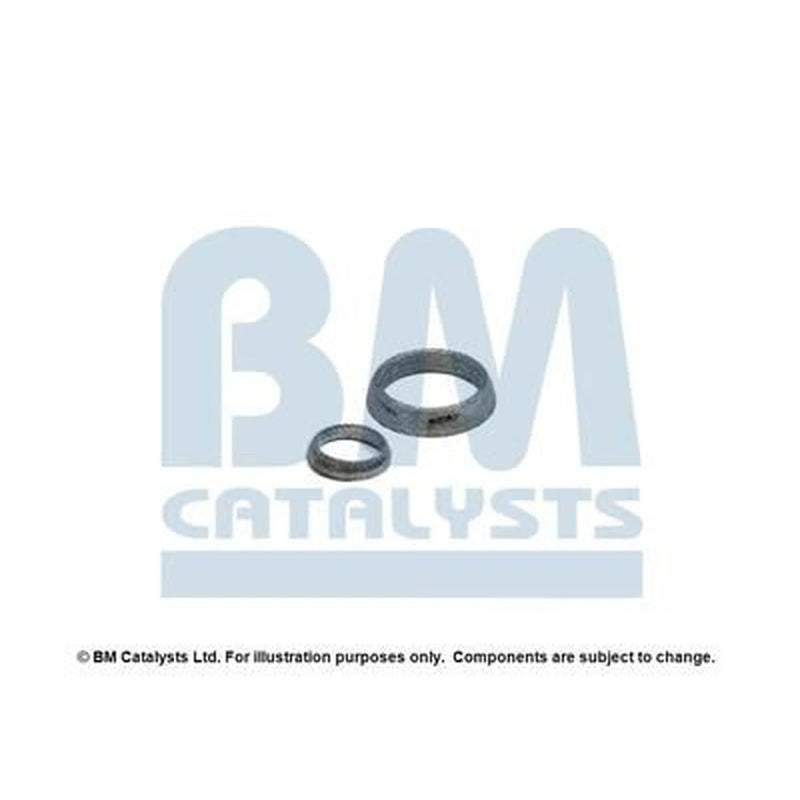 BM Catalysts Fitting Kit FK92497A FK92497A
