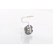 Bosch Car Light Bulb H3 PK22s 24V 70W