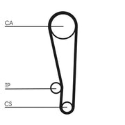 Continental CTAM Timing Belt Cambelt 101 Teeth fits Hyundai Amica 1998-2010