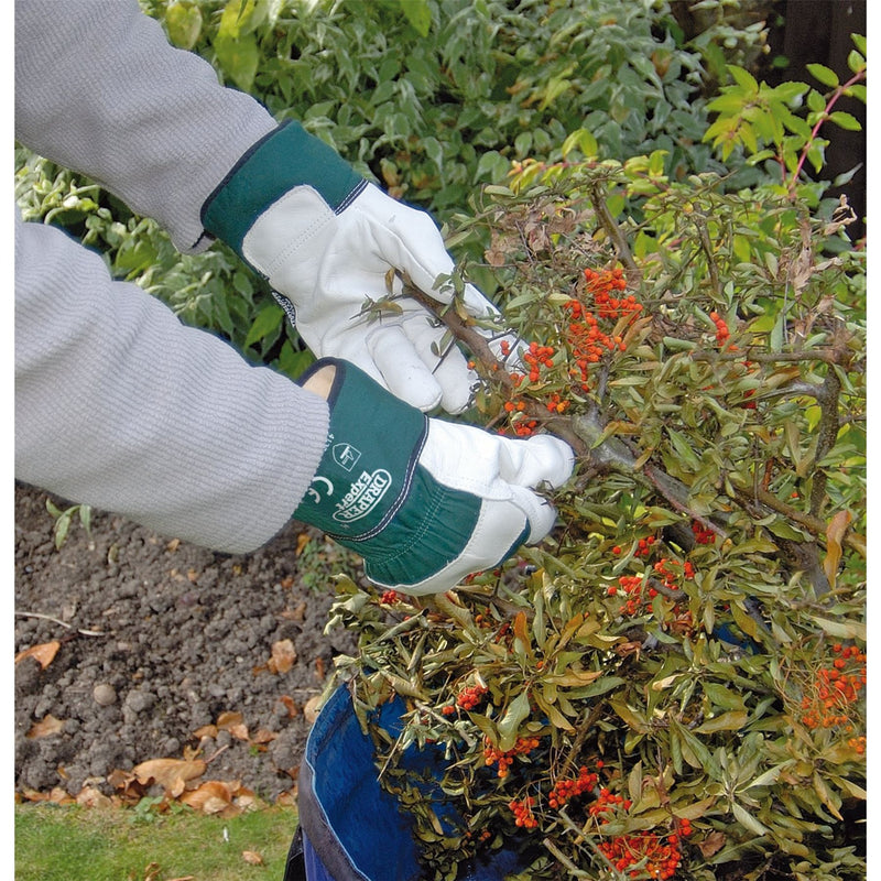 Draper Premium Leather Gardening Gloves, Extra Large 82608 Draper - Dynamic Drive