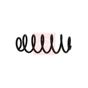 Apec Rear Suspension Coil Spring ACS1953