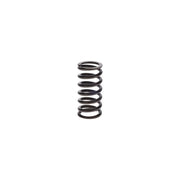 Bosch Compression Spring