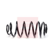 Apec Rear Suspension Coil Spring ACS2206