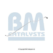 BM Catalysts Pressure Pipe PP11191B 1606612780 PP11191B