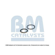 BM Catalysts Fitting Kit FK91494A FK91494A