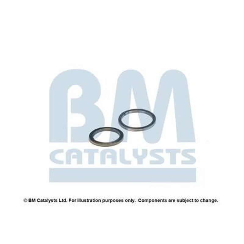 BM Catalysts Fitting Kit FK91494A FK91494A