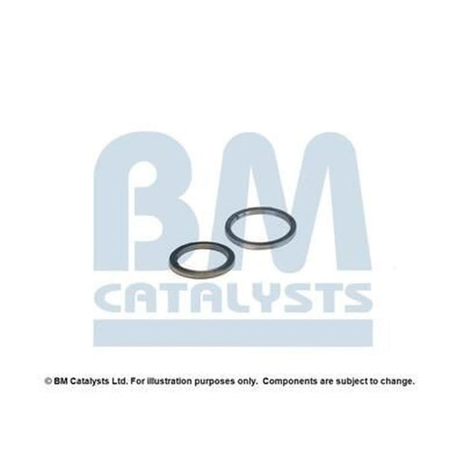 BM Catalysts Fitting Kit FK91494A FK91494A