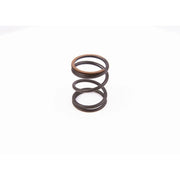 Bosch Compression Spring