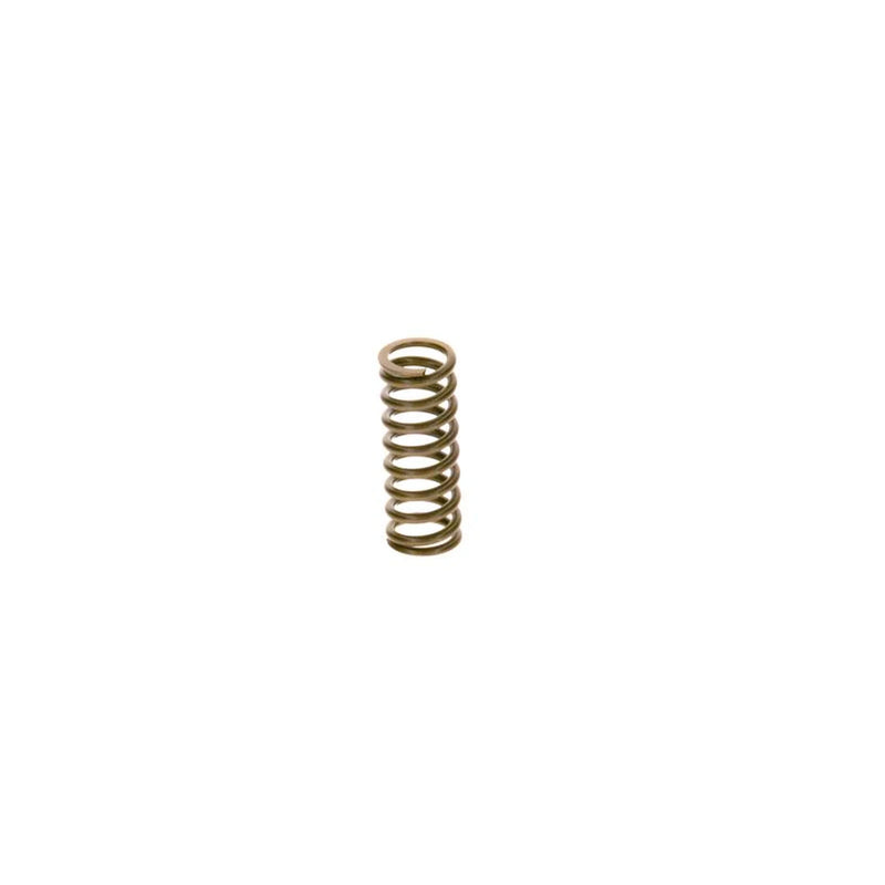 Bosch Compression Spring