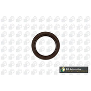BGA Crankshaft Shaft Seal 42mm OD ID Wide OS7394