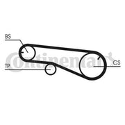 Continental CTAM Timing Belt Cambelt 55 Teeth fits Hyundai H-1 2000-2004 2.4