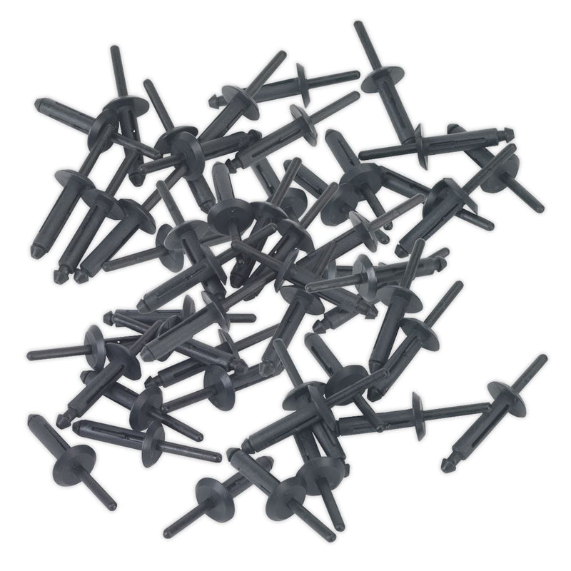 Sealey Plastic Rivet 6.3 x 25.2mm Pack of 50 PR002 Sealey  - Dynamic Drive