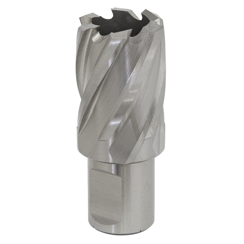 Sealey Rotabor Cutter HSS26mm Cut Depth 25mm RBHSS26S Sealey - Dynamic Drive