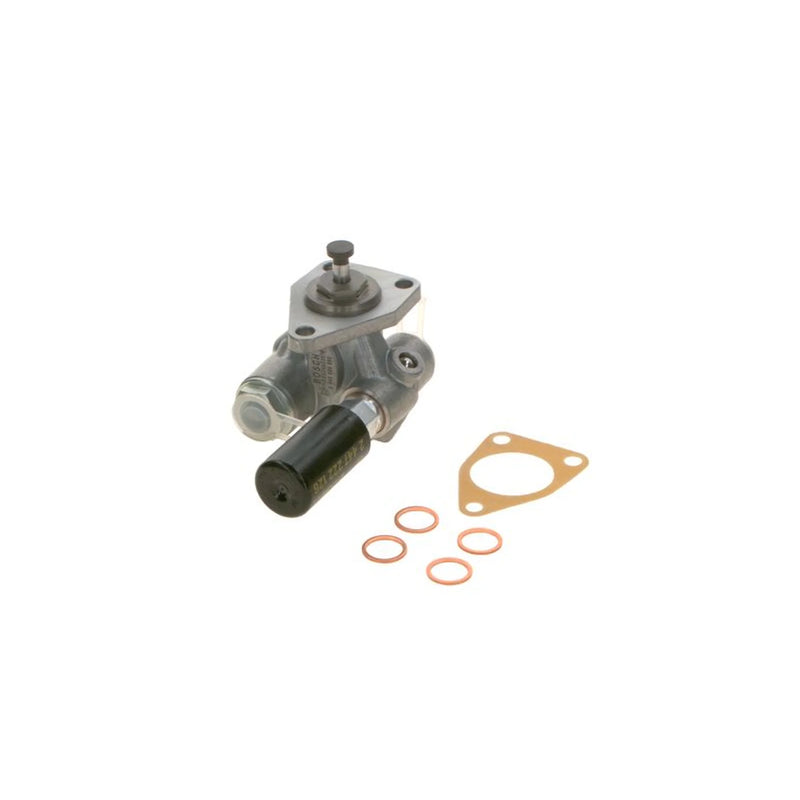 Bosch Fuel Pump Assembly