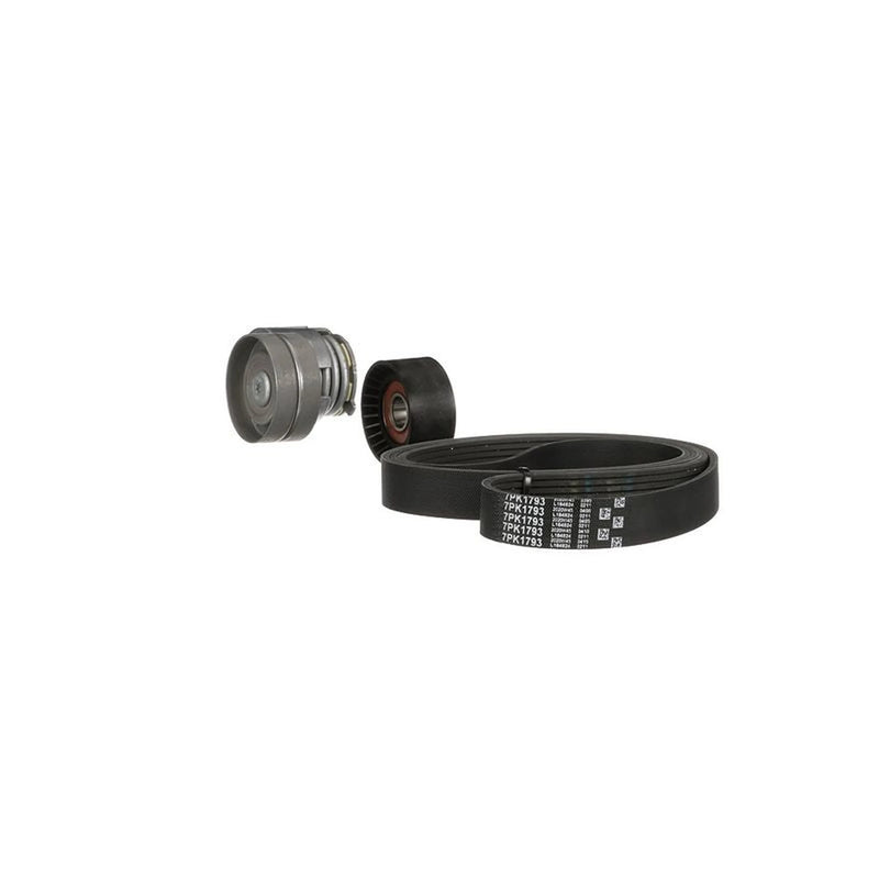 Gates V-Ribbed Belt Set fits Nissan Primera 2002-2007 1.9