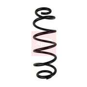 Apec Rear Suspension Coil Spring ACS1692