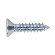 Sealey Self Tapping Screw 4.2 x 19mm Countersunk Pozi Pack of 100 ST4219 Sealey - Dynamic Drive