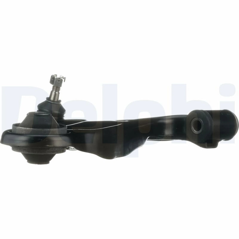 Delphi Control/Trailing Arm Lower fits Suzuki Grand Vitara II 2005-2015