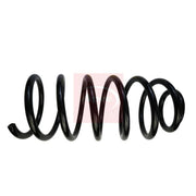 Apec Front Suspension Coil Spring ACS1931
