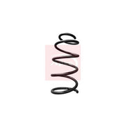 Apec Front Suspension Coil Spring ACS1709