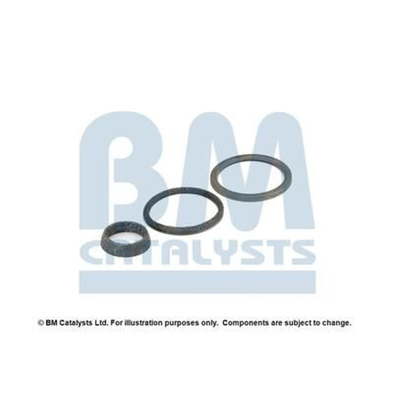 BM Catalysts Fitting Kit FK91067A FK91067A