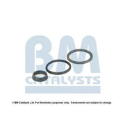BM Catalysts Fitting Kit FK91643A FK91643A