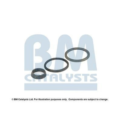 BM Catalysts Fitting Kit FK91643A FK91643A