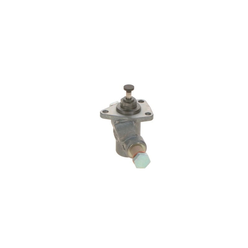 Bosch Fuel Pump Assembly