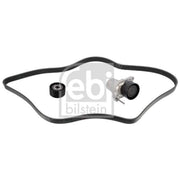 Febi V-Ribbed Belt Set 183563