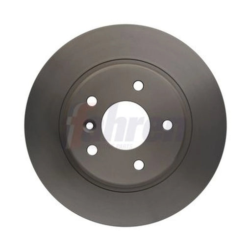 Fahren 2 x Solid Rear Brake Discs FBD6170-x2